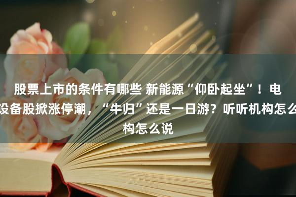 股票上市的条件有哪些 新能源“仰卧起坐”！电力设备股掀涨停潮，“牛归”还是一日游？听听机构怎么说