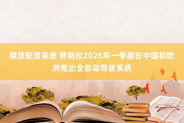 期货配资系统 特斯拉2025年一季度在中国和欧洲推出全自动驾驶系统