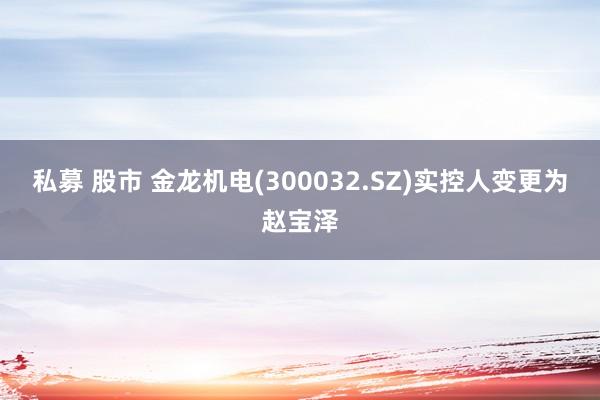 私募 股市 金龙机电(300032.SZ)实控人变更为赵宝泽