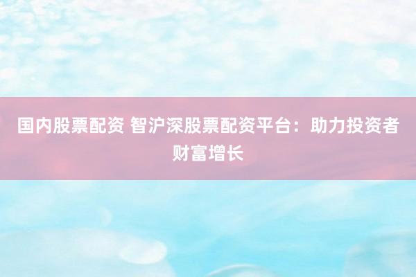 国内股票配资 智沪深股票配资平台：助力投资者财富增长