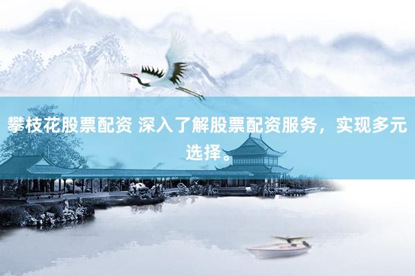 攀枝花股票配资 深入了解股票配资服务，实现多元选择。