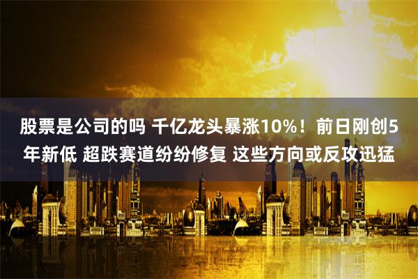 股票是公司的吗 千亿龙头暴涨10%！前日刚创5年新低 超跌赛道纷纷修复 这些方向或反攻迅猛